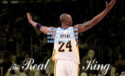 开云赛事集团：德甲联赛赛季中段观察，奥格斯堡状态低迷求突破，柏林联合稳健前行展实力