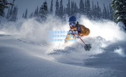 开云赛事集团-帕夫洛维奇赛前诡异刨坑干扰 斯坦丘点球射飞憾失胜局